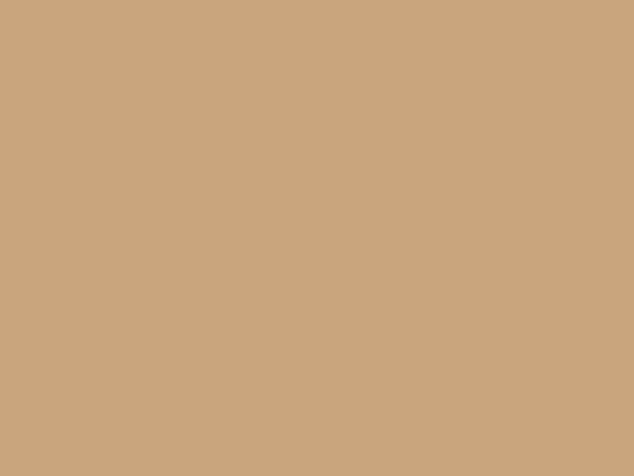Panneau décoratif Zenit · Camel sm · 2750 mm × 1220 mm × 18 mm, aperçu du décor