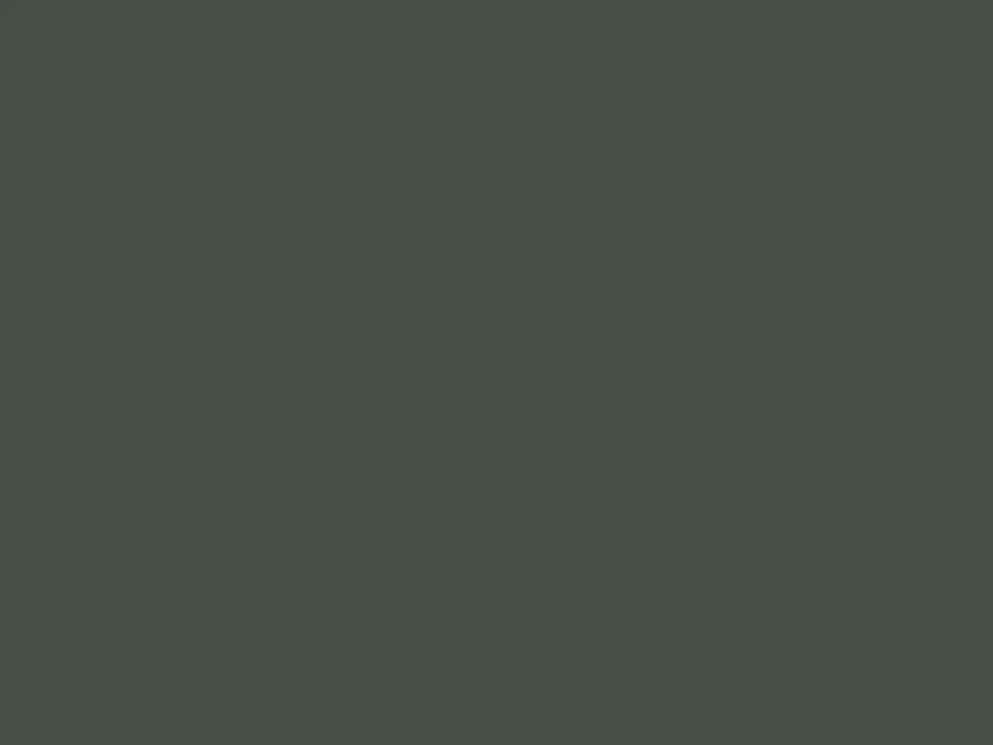 Panneau décoratif Zenit · Verde salvia sm · 2750 mm × 1220 mm × 18 mm, aperçu du décor